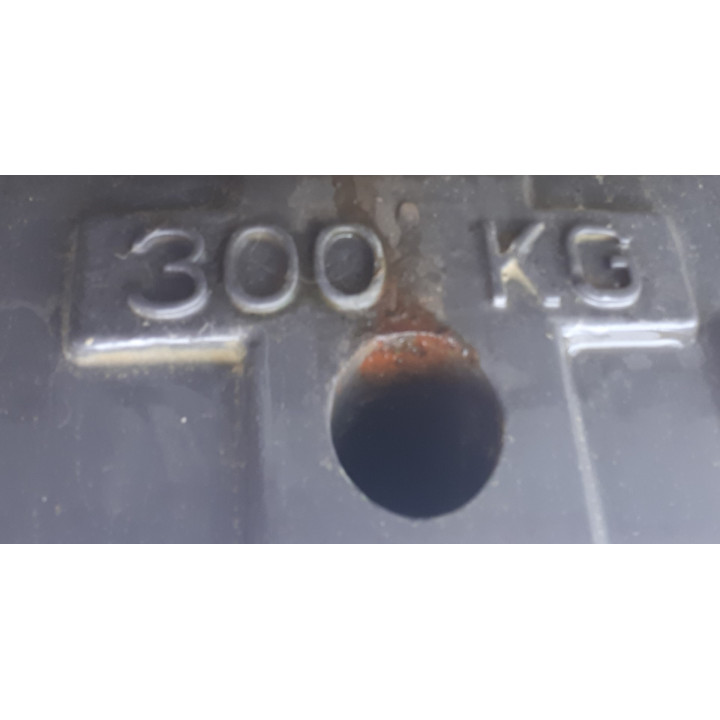 EASYMASS ADD 300 KG