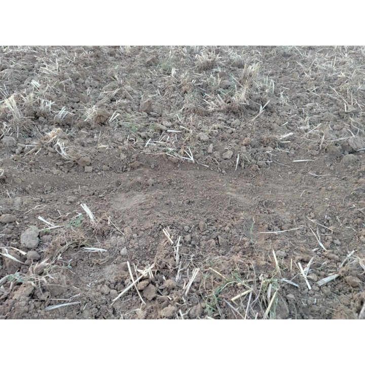 GUTTLER SUPERMAXX 60-5 CULTI